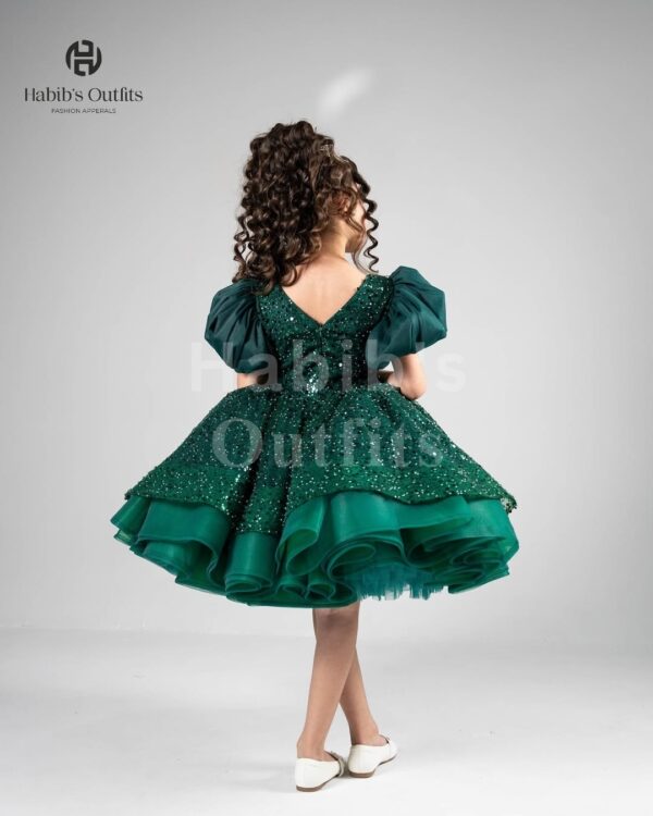 Zarish - Image 4