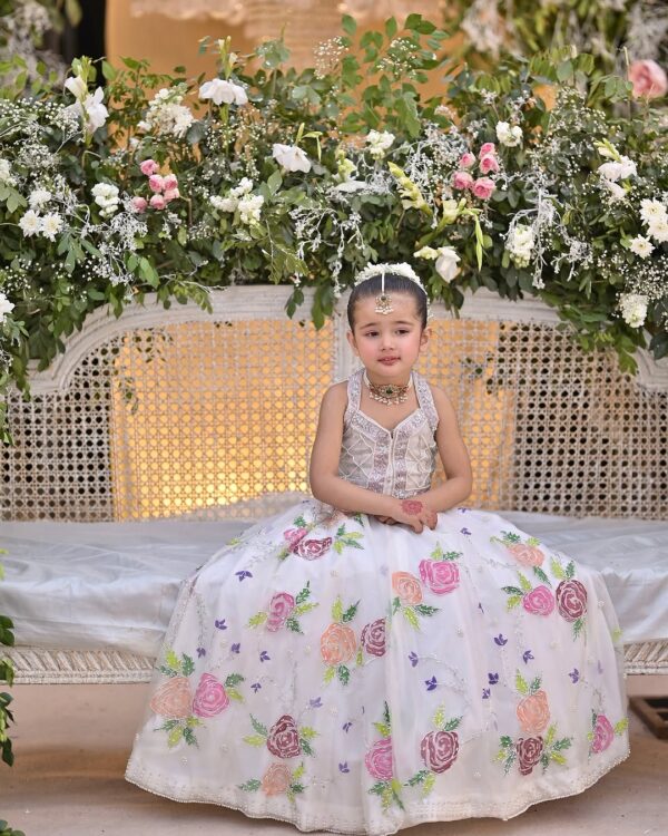 Royal Touch Lehenga - Image 3